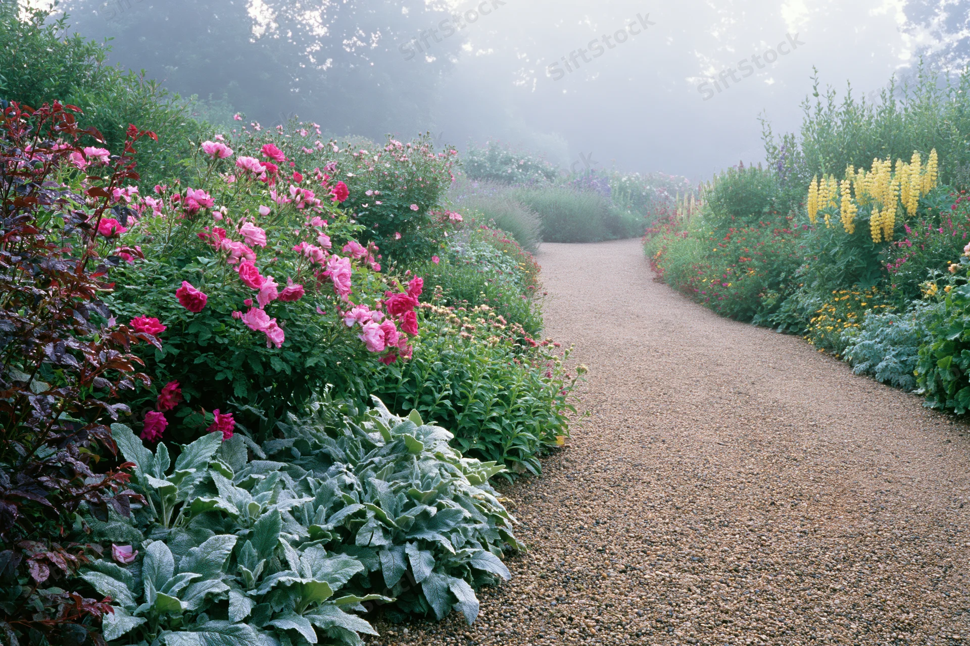 Winding gravel path bordered by dense cottage-style flowerbeds with pink roses and yellow blooms in a lush garden