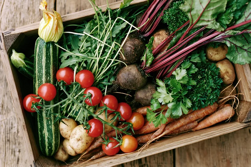 Wooden crate filled with fresh harvested vegetables arranged on rustic surface