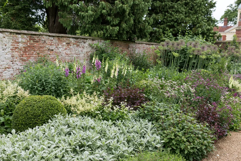 Dense summer garden border with foxgloves, alliums, and lambs ear along a brick wall