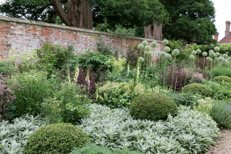 Dense summer garden border with flowering plants and shrubs along a brick wall