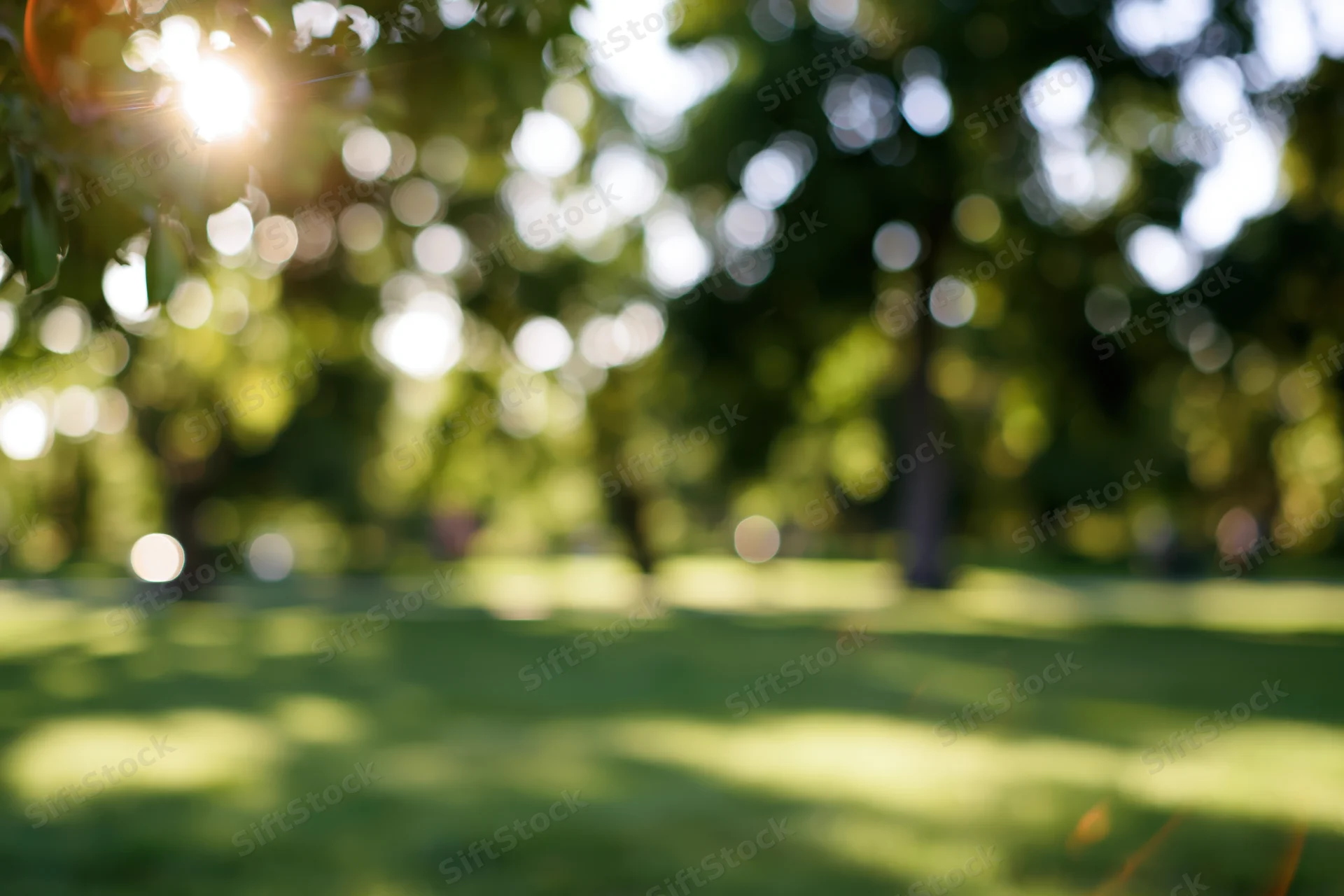 Blurred view of a sunlit city park with dappled light on green grass and trees