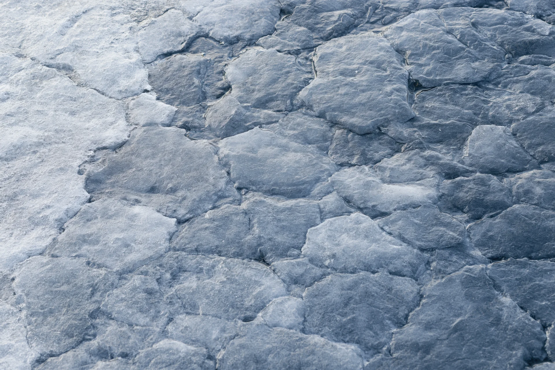 Close-up of fractured ice surface with cracked patterns and blue-gray texture