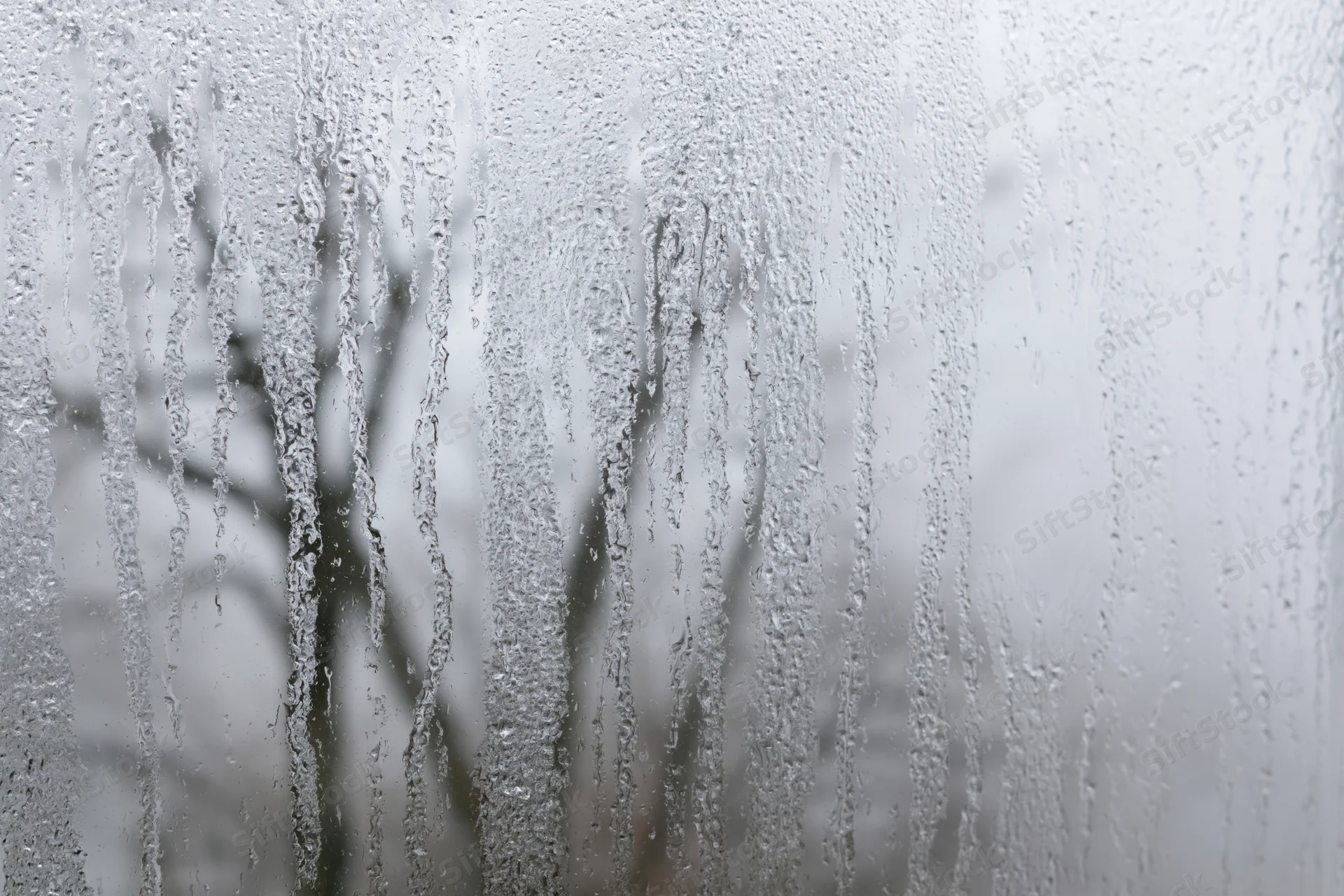 Fogged window pane with condensation droplets streaking down, showing blurred trees outside in overcast weather