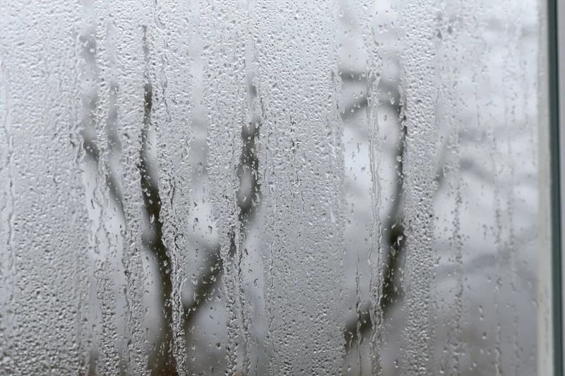 Close-up of a fogged window pane covered in condensation with blurred trees visible outside