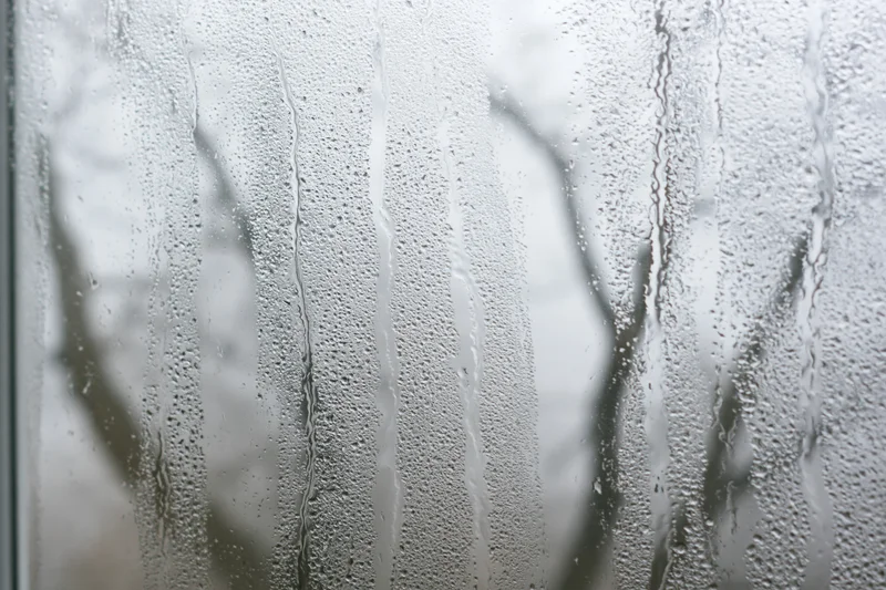 Close-up of a fogged window pane covered in heavy condensation with water droplets and streaks, showing blurred tree branches outside
