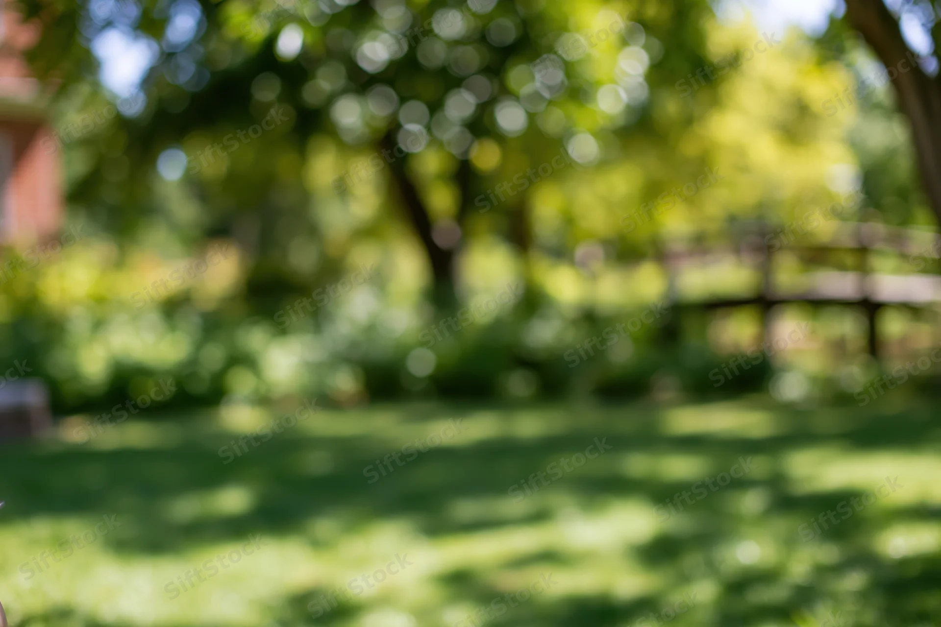 Blurred park garden scene with green lawn and dappled sunlight