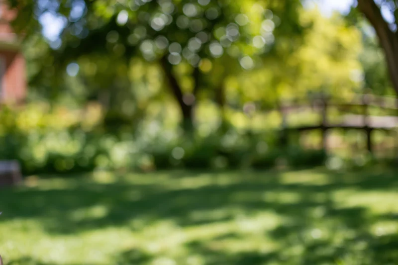 Blurred park garden scene with green lawn and dappled sunlight