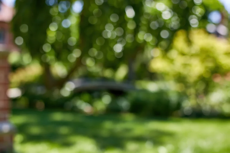 Blurred park garden scene with green lawn and trees in soft focus