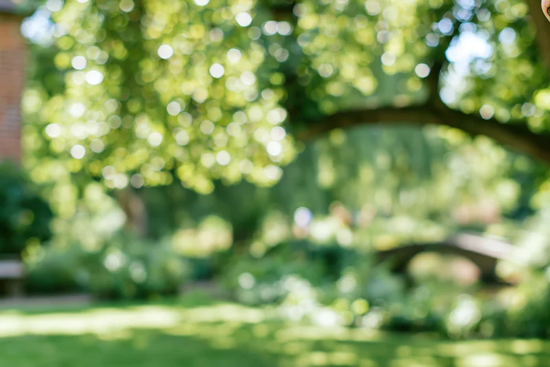 Blurred park garden scene with green lawn and trees in sunlight