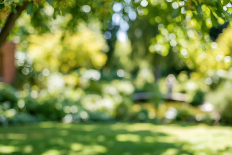 Blurred park garden with green lawn and dappled sunlight through trees