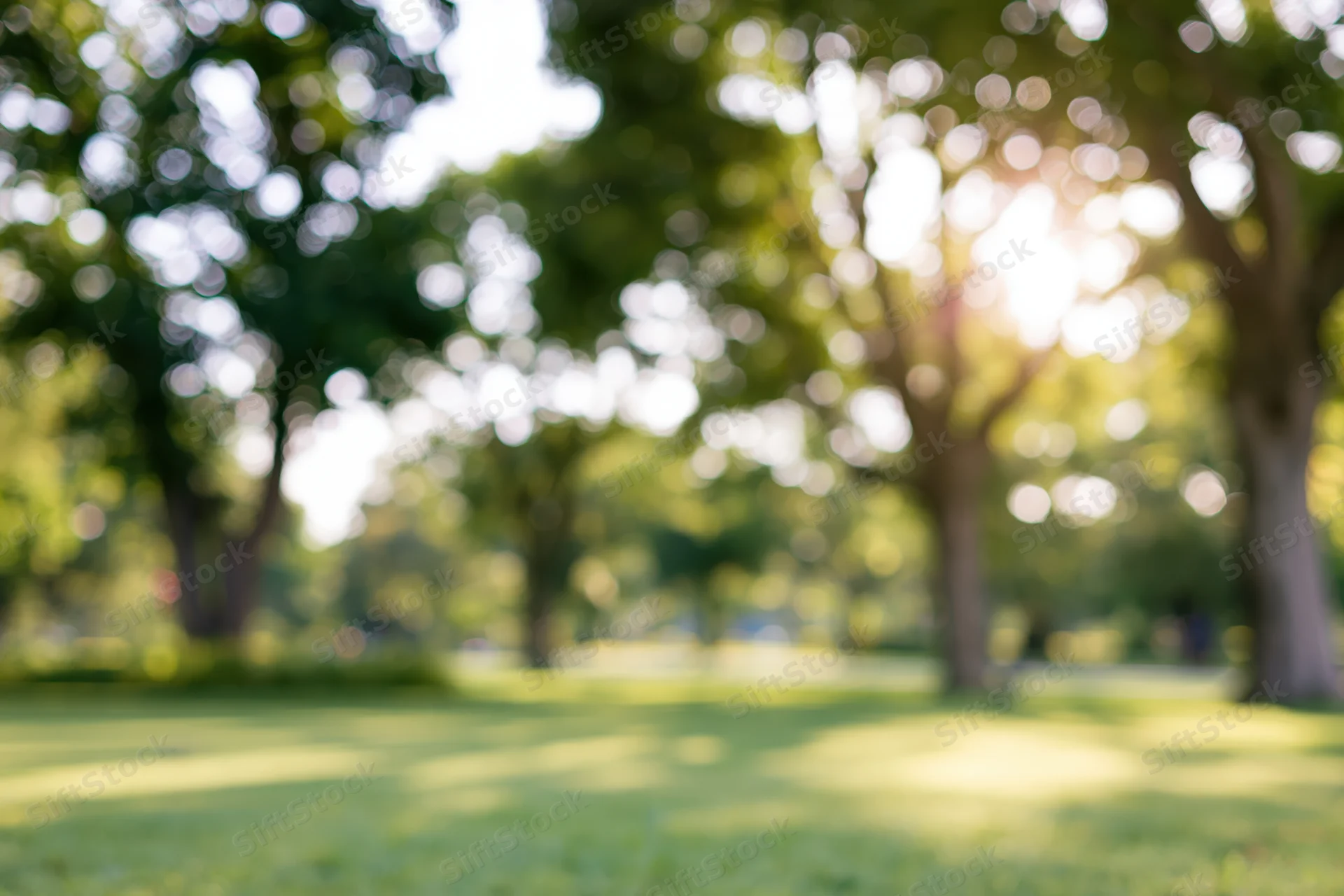 Defocused view of a sunny public park with large mature trees and green grass