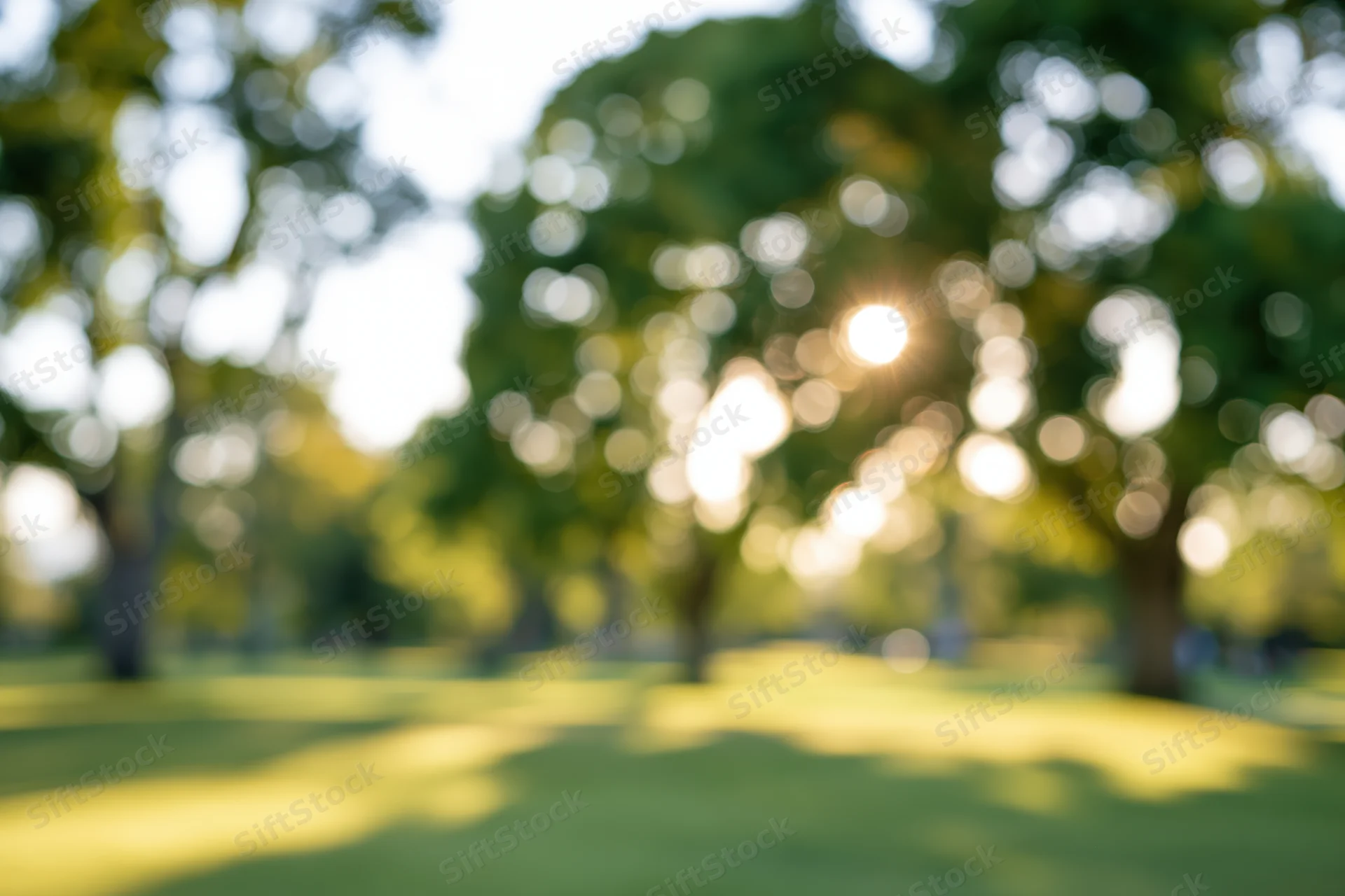 Blurred view of a sunny park with large trees and green grass
