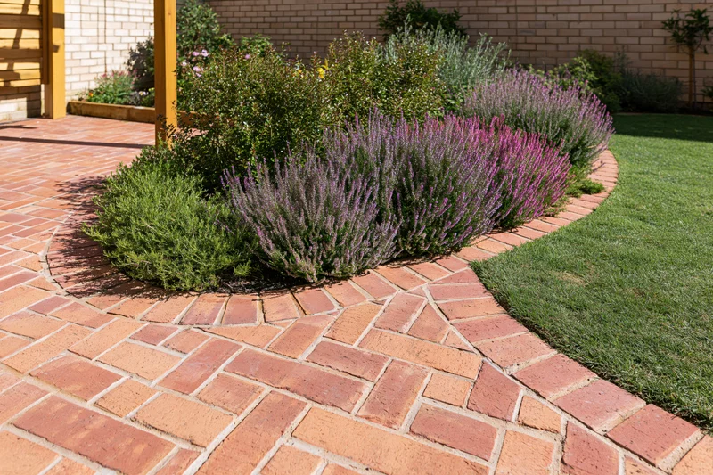 Curved brick pathway borders a lavender garden in a landscaped backyard