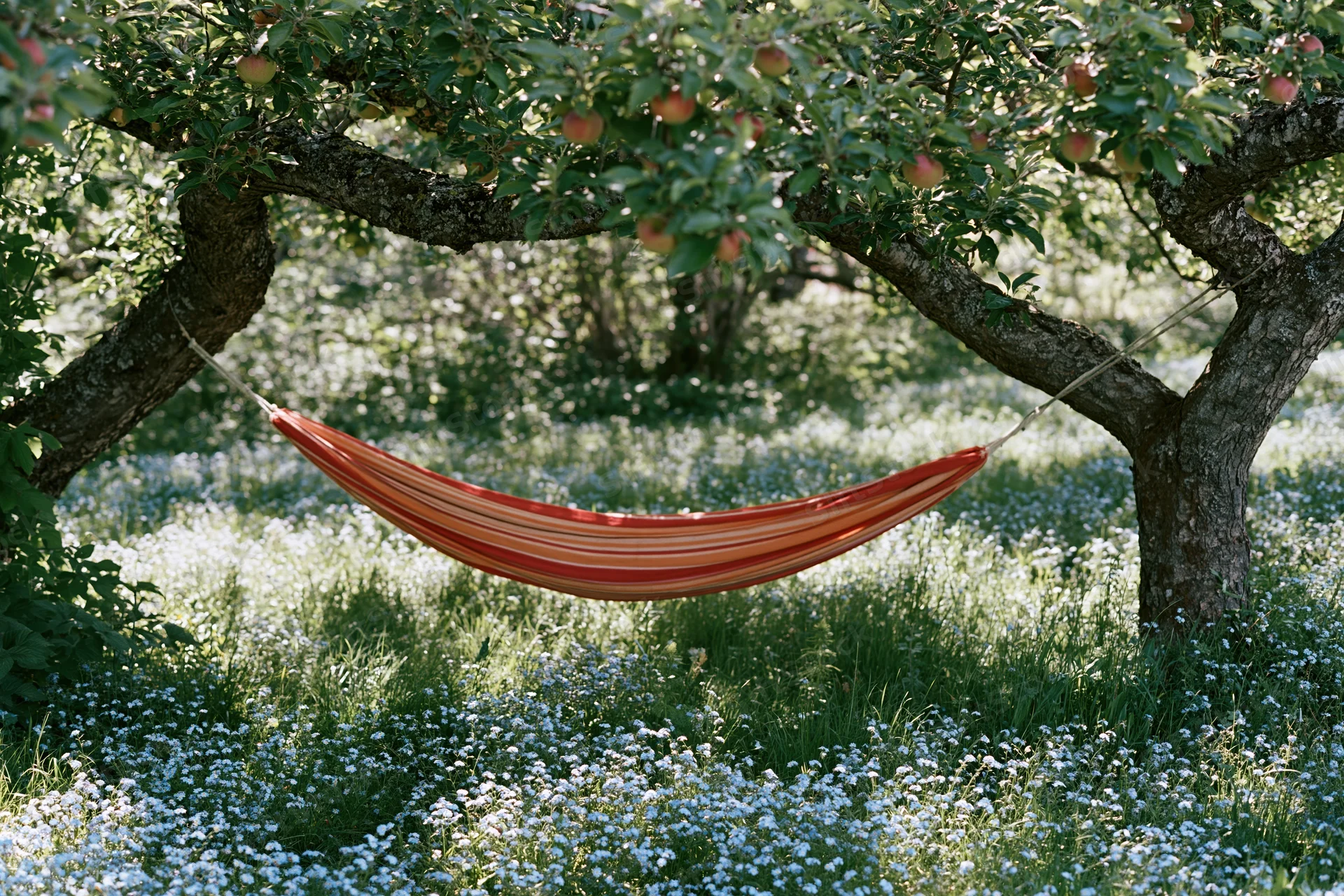 Striped hammock hanging between apple trees in a flower-filled garden