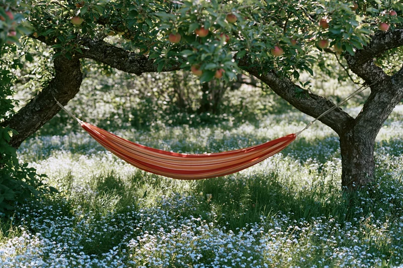 Striped hammock hanging between apple trees in a flower-filled garden