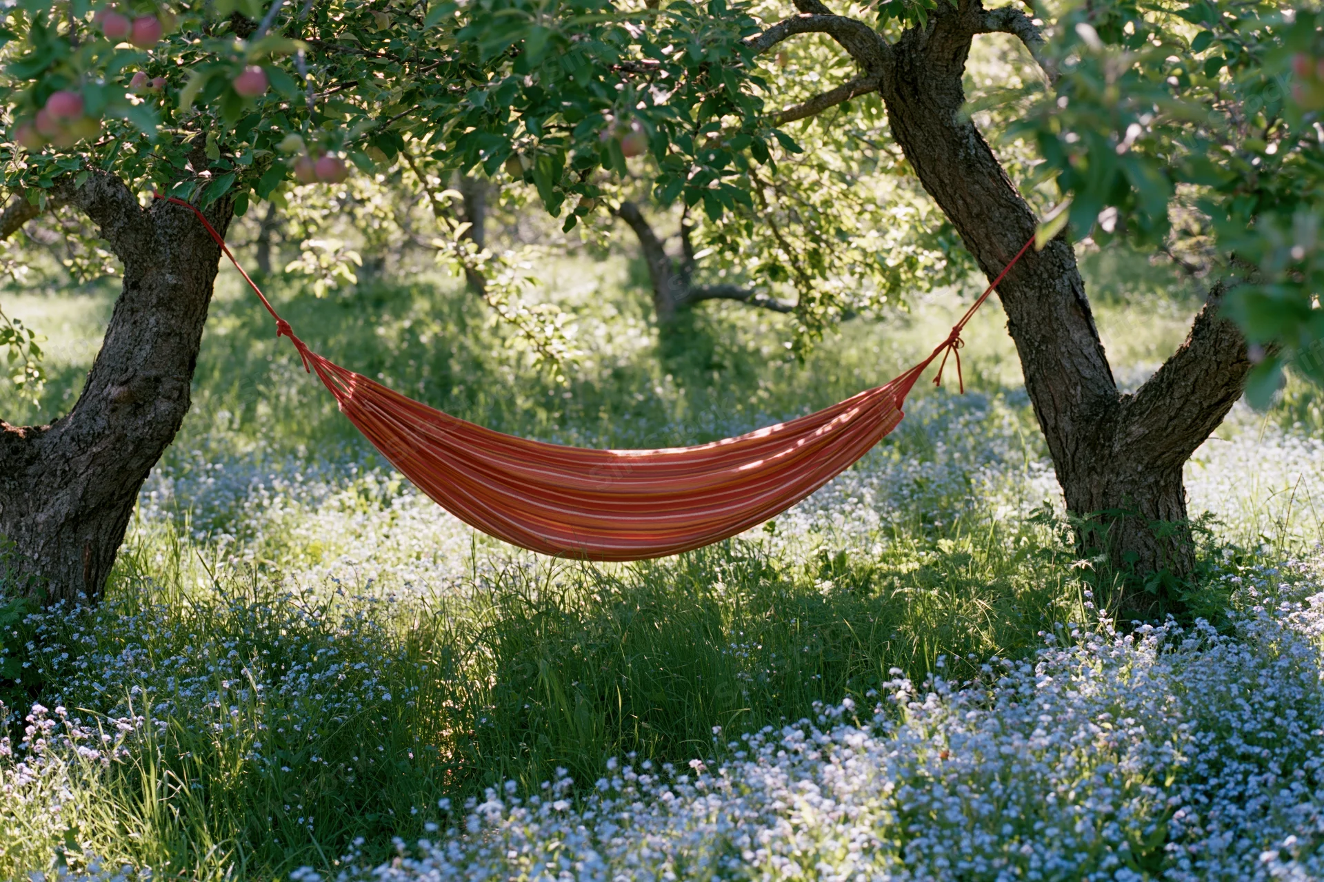 Red and orange striped hammock suspended between two apple trees in a flower-filled garden