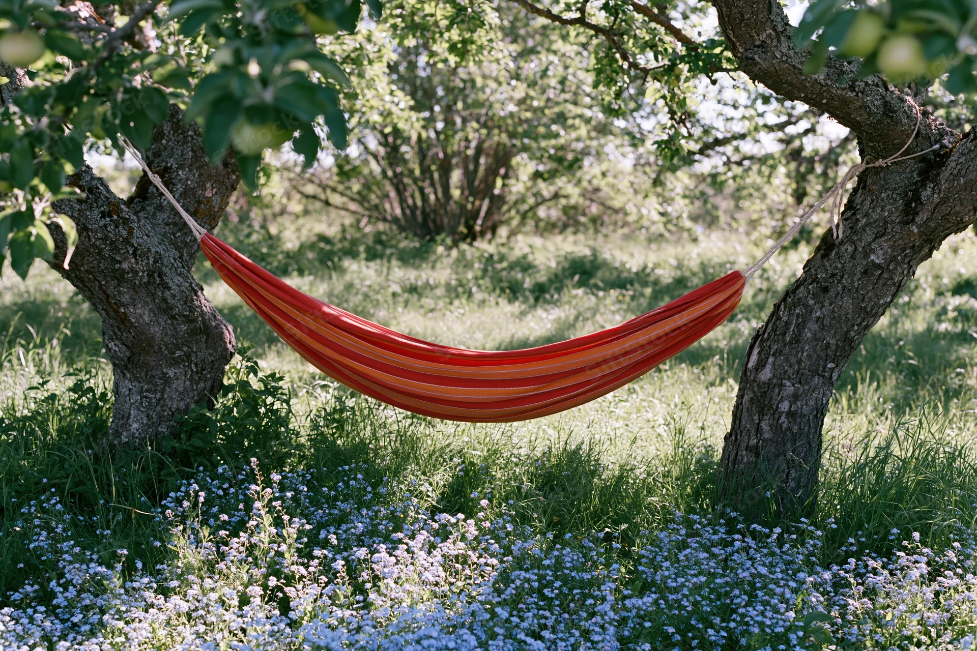 Red and orange striped hammock suspended between two apple trees in a grassy garden with wildflowers below