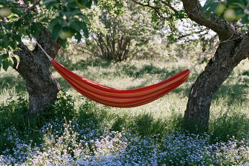 Red and orange striped hammock suspended between two apple trees in a grassy garden with wildflowers below
