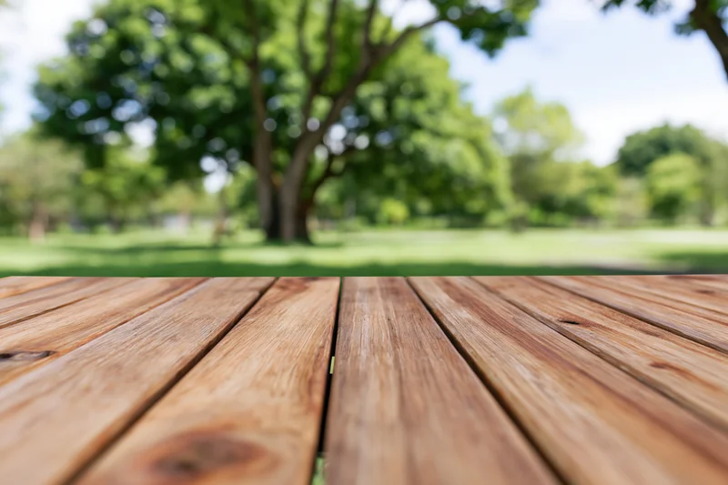 Wooden deck tabletop in sharp focus with blurred park greenery in background
