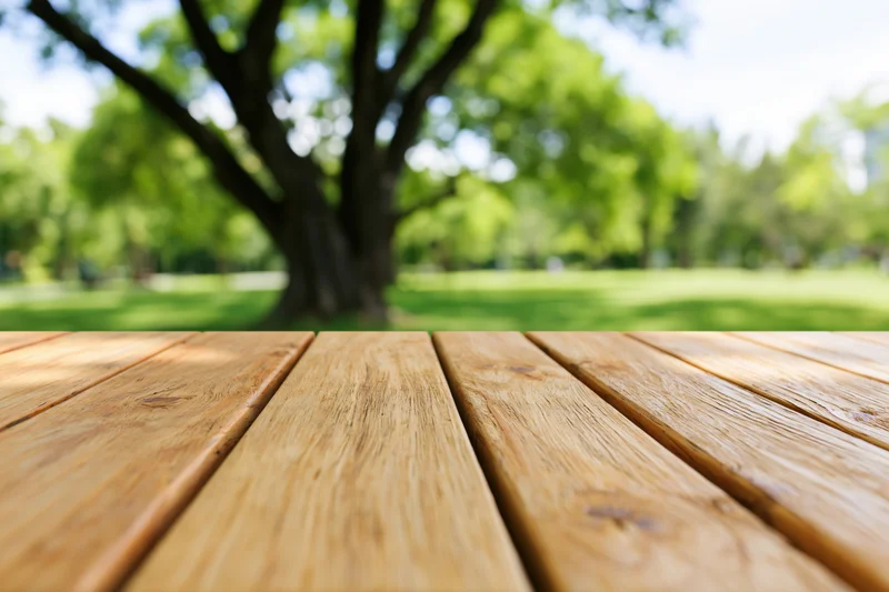 Wooden deck tabletop in sharp focus with blurred park and tree in background