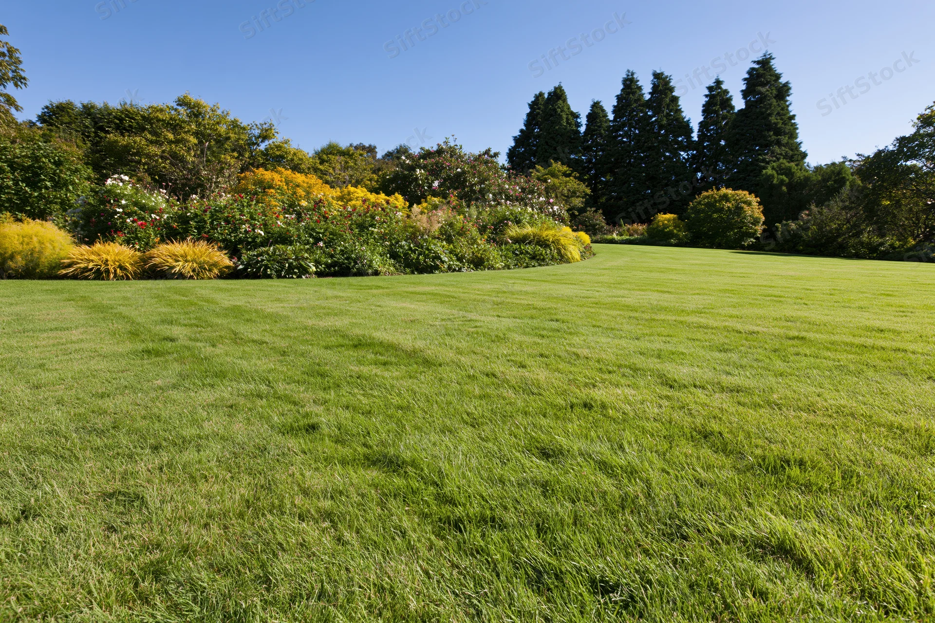 Expansive manicured lawn in a formal garden with colorful shrubs and trees under a clear blue sky