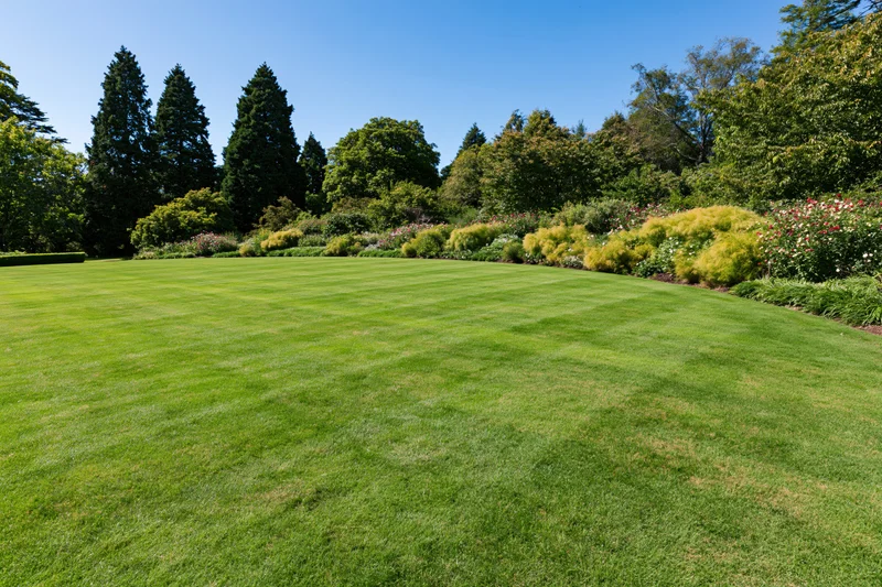 Expansive manicured lawn in a formal garden bordered by trees and flowerbeds under a clear blue sky