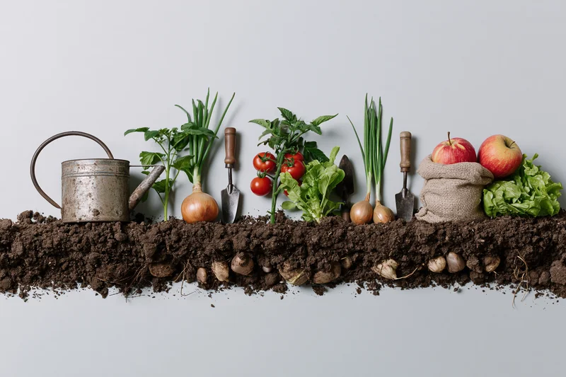 Horizontal cross-section of garden soil with vegetables, tools and produce arranged in a flat lay