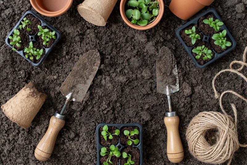 Gardening tools and seedlings arranged on dark soil in a flat lay overhead view