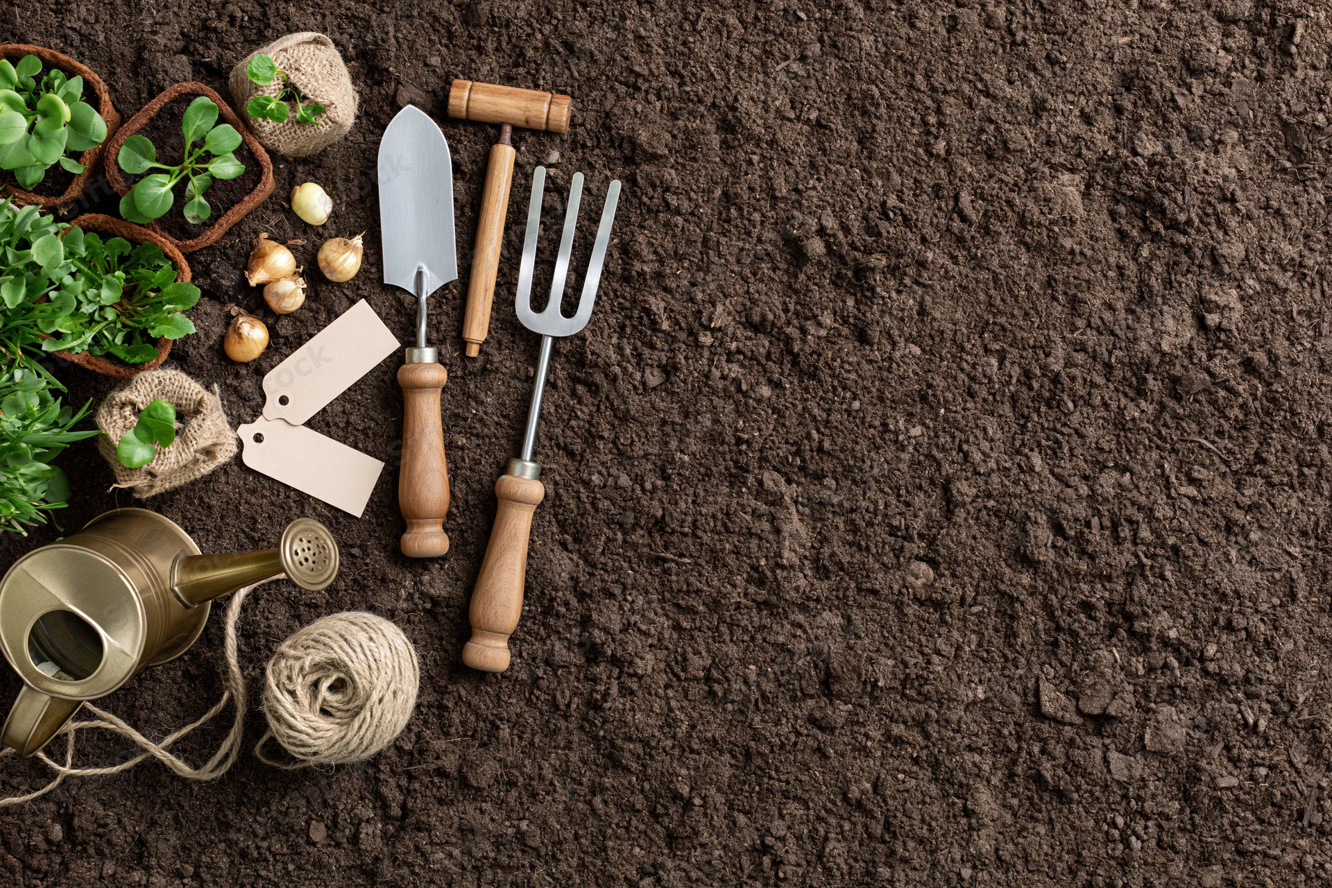 Gardening tools and seedlings arranged on dark soil with copyspace
