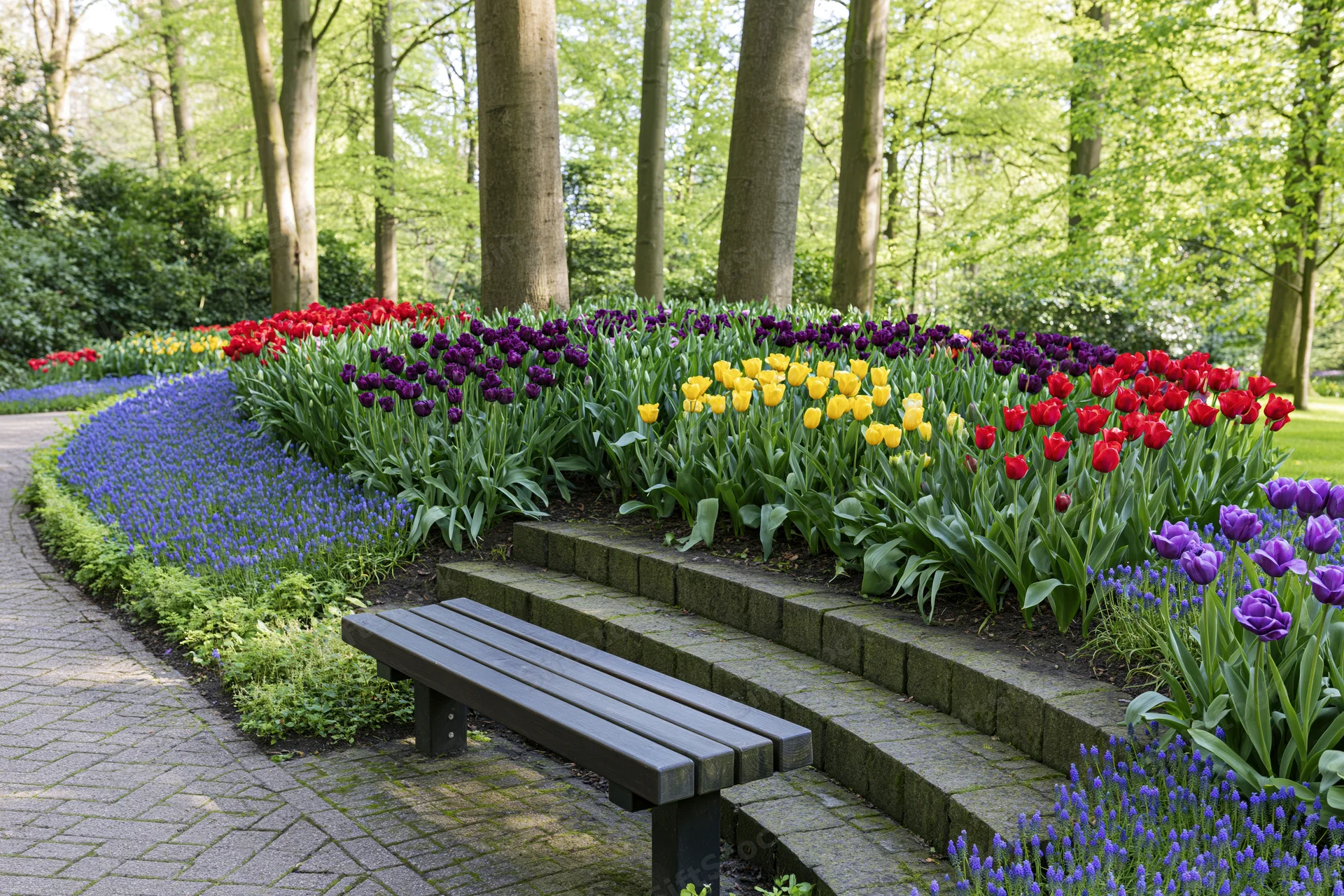 Curved flower beds with red, purple, yellow and blue tulips in a formal spring garden beside a stone bench and paved path
