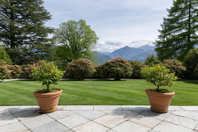 Formal italian garden terrace with manicured lawn and terracotta pots of citrus trees, framed by flowering shrubs and mountains in the distance