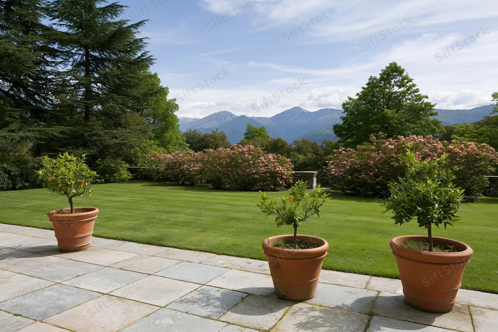Three potted citrus trees on a stone terrace overlooking a manicured lawn and mountains
