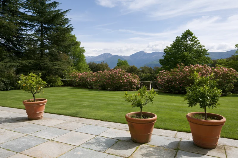 Three potted citrus trees on a stone terrace overlooking a manicured lawn and mountains