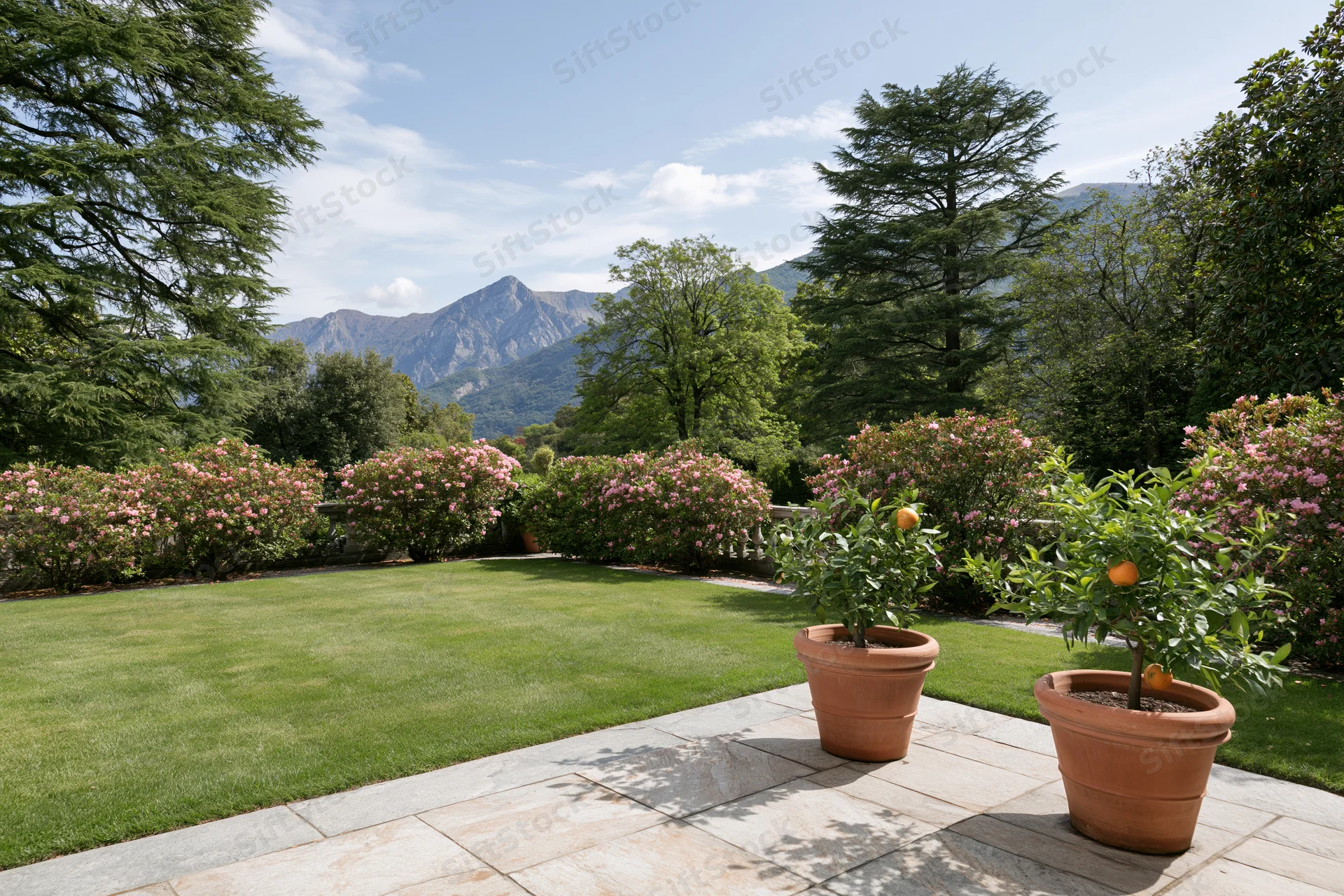 Formal italian garden terrace with manicured lawn and potted citrus trees on stone pathway