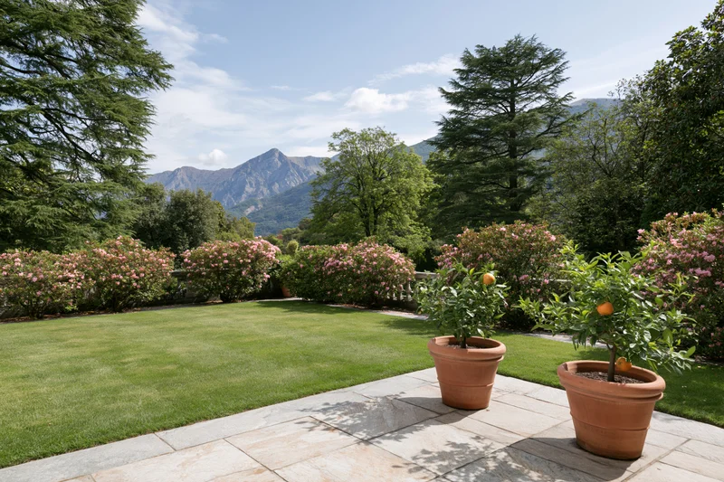 Formal italian garden terrace with manicured lawn and potted citrus trees on stone pathway