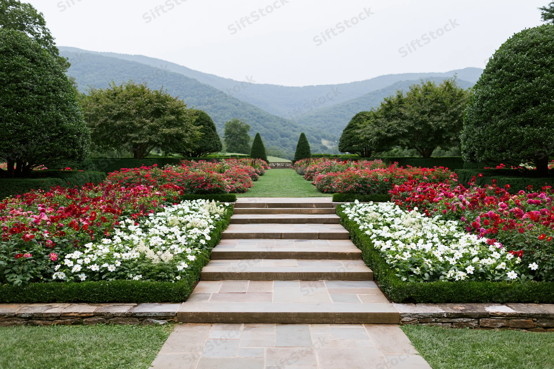 Stone steps lead through a formal garden with red and white roses flanked by hedges and trees, mountains in the background