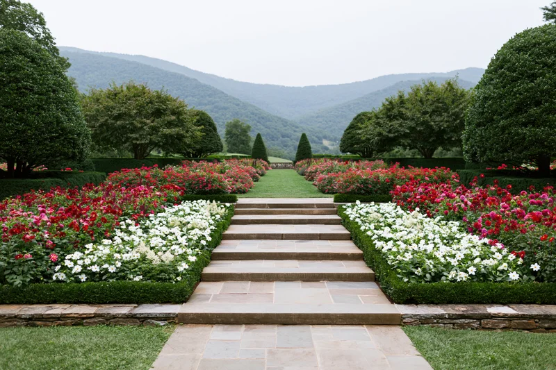 Stone steps lead through a formal garden with red and white roses flanked by hedges and trees, mountains in the background