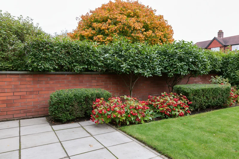 Formal garden with trimmed hedges and red brick wall bordering a paved pathway and lawn