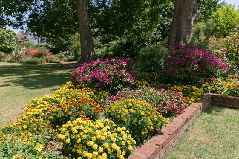 Tiered flower beds with marigolds and petunias edged in red brick in a formal garden with trees and lawn