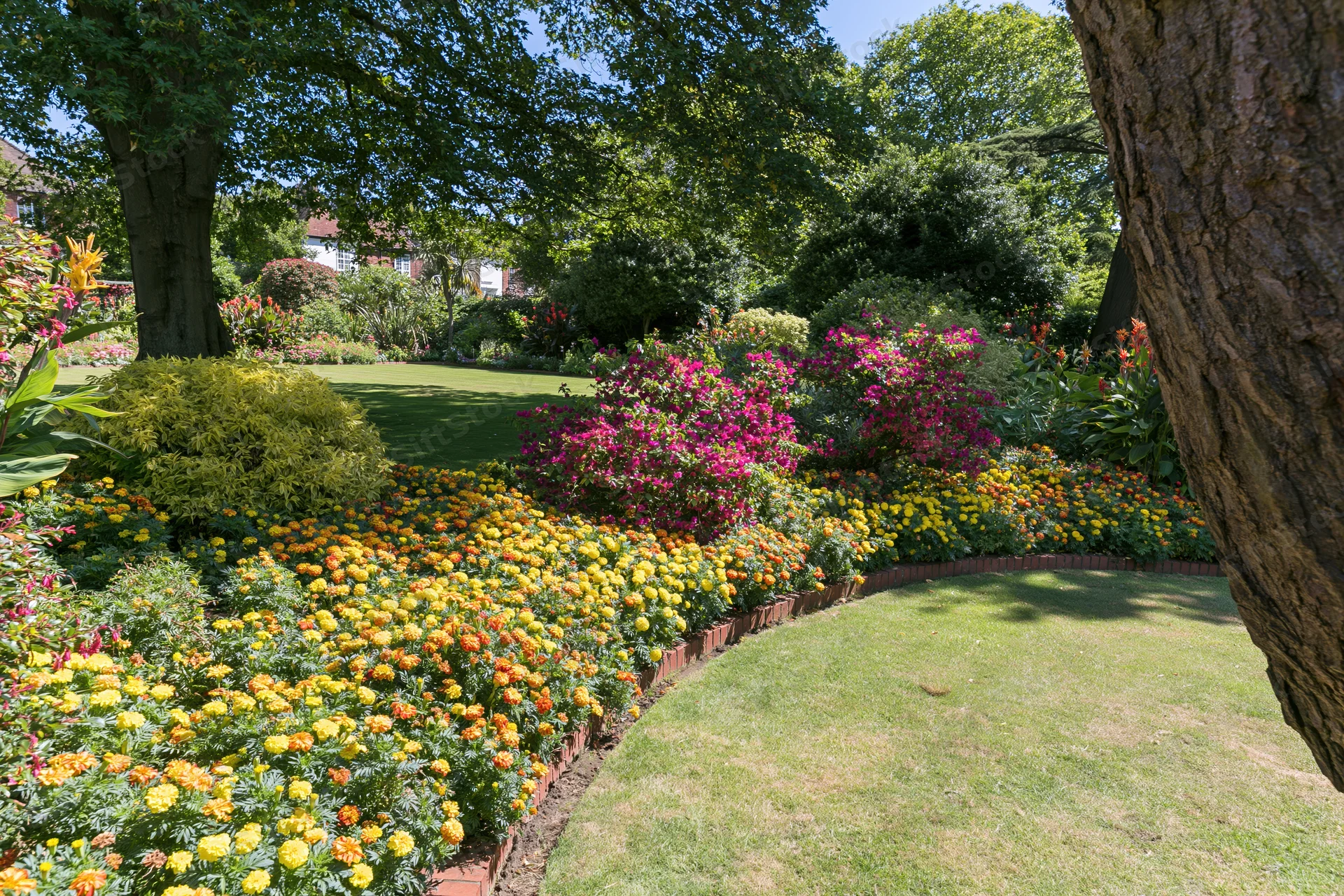 Curved flowerbeds with marigolds and petunias edged in red brick in a formal garden with trees and lawn