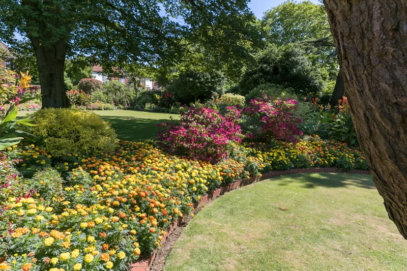Curved flowerbeds with marigolds and petunias edged in red brick in a formal garden with trees and lawn