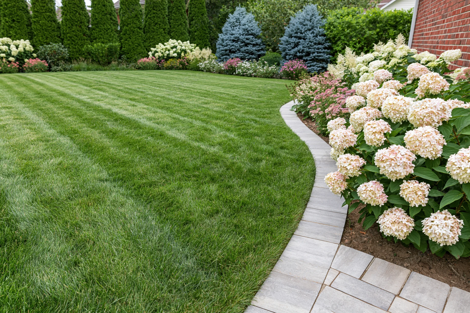 Freshly mowed striped lawn bordered by hydrangea flowers and stone pathway in residential garden