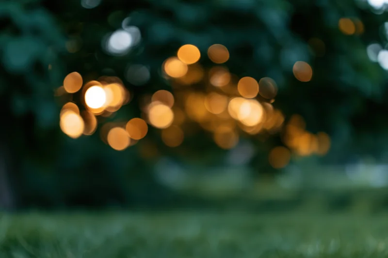 Blurred golden lights among dense green foliage at dusk