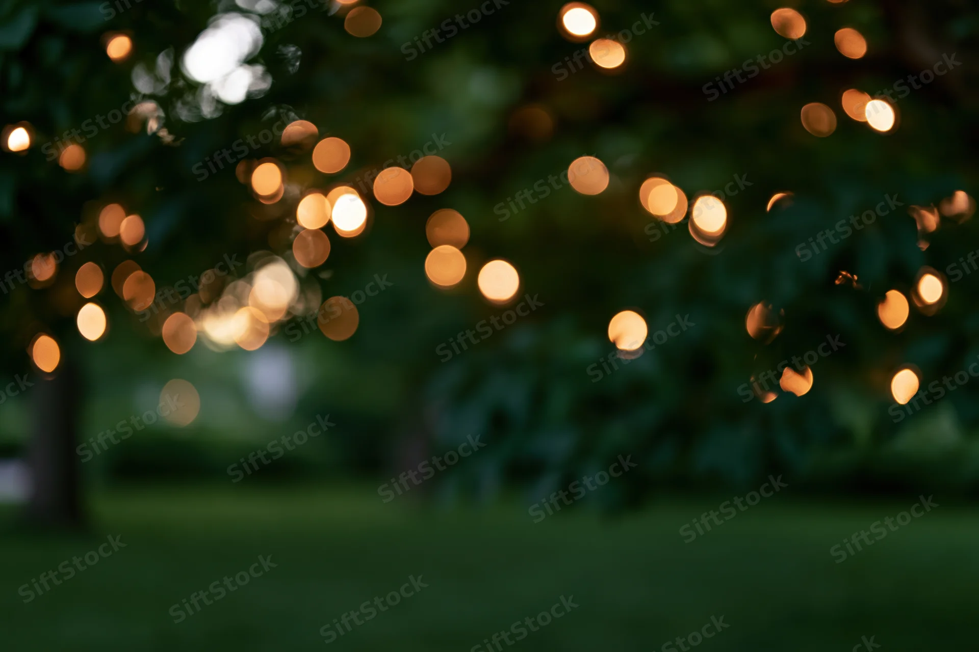 Blurred tree foliage with warm glowing lights in a garden at night