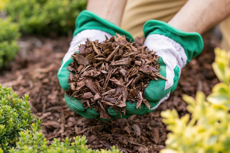 Gloved hands holding wood chip mulch over a garden bed