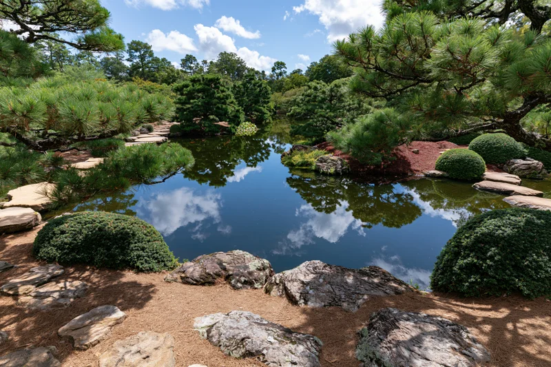 Japanese garden with calm koi pond reflecting clouds and sky among pine trees and rocks