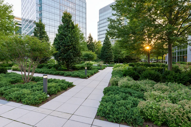 Landscaped courtyard with concrete walkway and greenery surrounded by modern office buildings at sunset