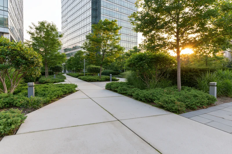 Landscaped courtyard with concrete walkway lined with trees and shrubs between modern office buildings at sunset