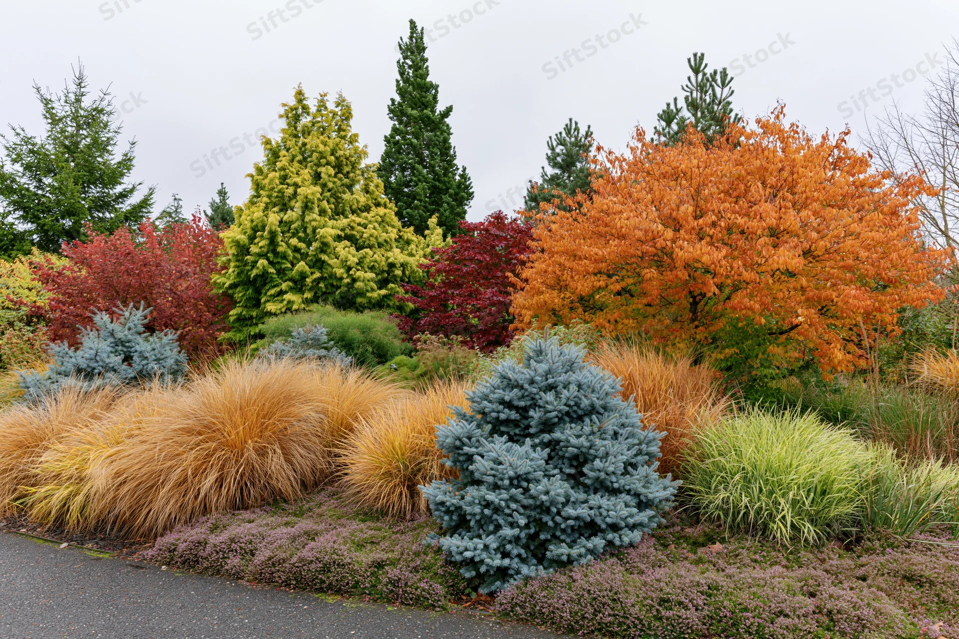 Layered autumn garden border with ornamental grasses and colorful shrubs along a pathway