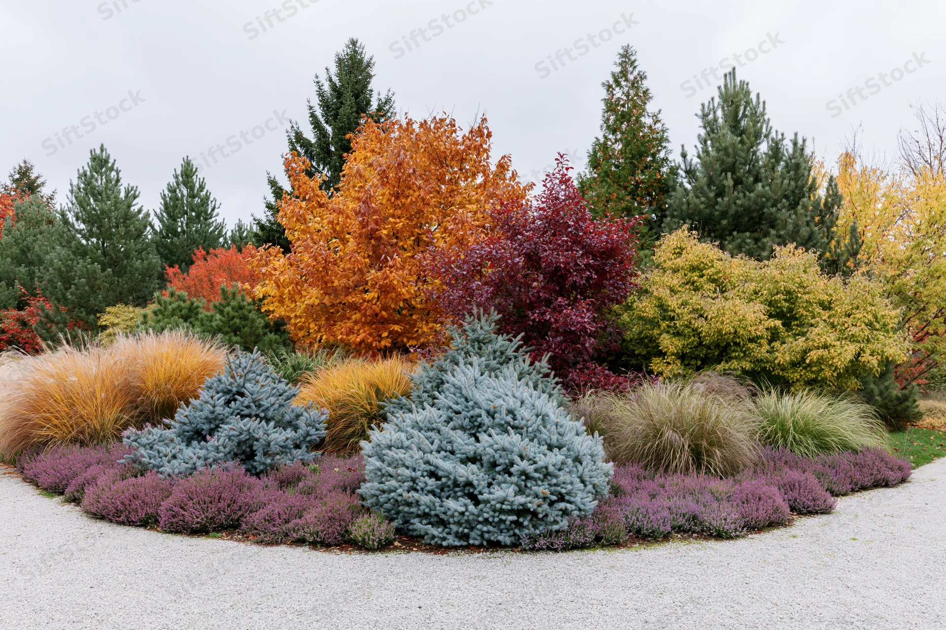 Layered autumn garden border with ornamental grasses and colorful shrubs planted in gravel bed